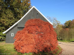 Arboretum Poortbulten